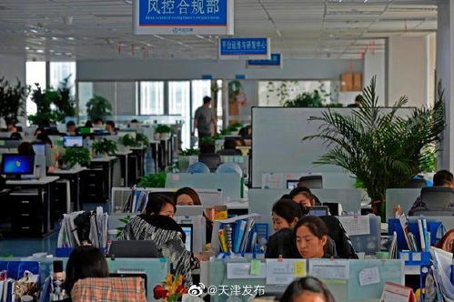 中企云鏈 以創新金融科技服務安心扎根，以信息技術咨詢服務舒心發展