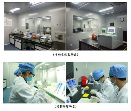 廣州高科技高成長20強企業(yè)風采 網絡技術研發(fā)與技術服務的領航者