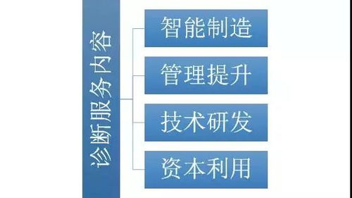 我市啟動倍增企業(yè)全方位全流程診斷服務(wù)，助力網(wǎng)絡(luò)技術(shù)研發(fā)及技術(shù)服務(wù)企業(yè)高質(zhì)量發(fā)展